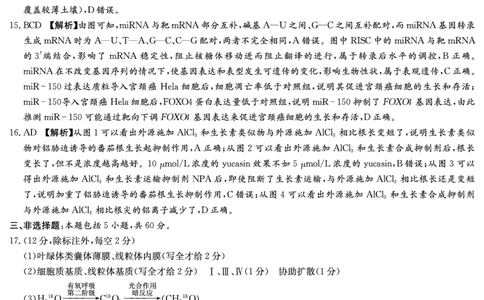 湖南省炎德&middot;英才大联考长郡中学2025届高三月考试卷（七）生物答案_2025年3月_250315湖南省炎德&middot;英才大联考长郡中学2025届高三月考试卷（七）