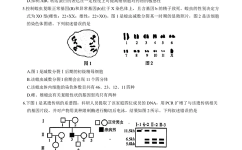 江苏省南京市2026届高三年级9月学情调研生物学试卷（有答案）_2025年9月_250919江苏省南京市2026届高三上学期9月零模学情调研（全科）