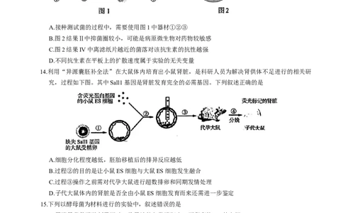 江苏省南京市2026届高三年级9月学情调研生物学试卷（有答案）_2025年9月_250919江苏省南京市2026届高三上学期9月零模学情调研（全科）