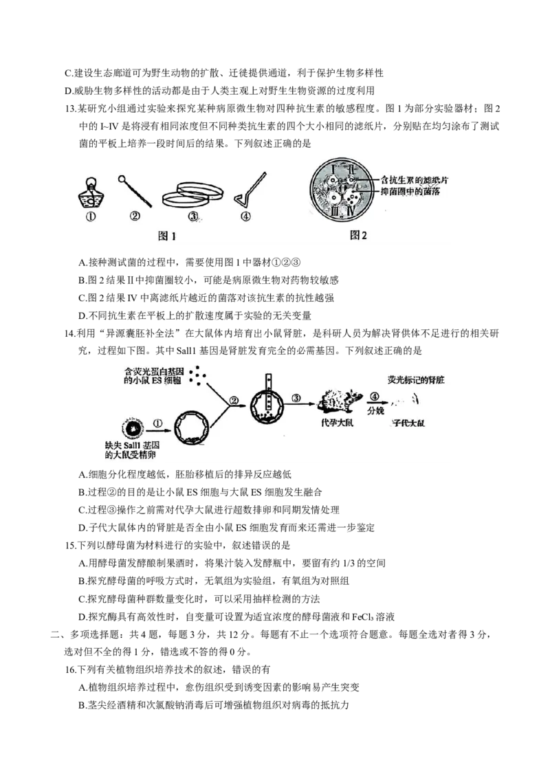 江苏省南京市2026届高三年级9月学情调研生物学试卷（有答案）_2025年9月_250919江苏省南京市2026届高三上学期9月零模学情调研（全科）