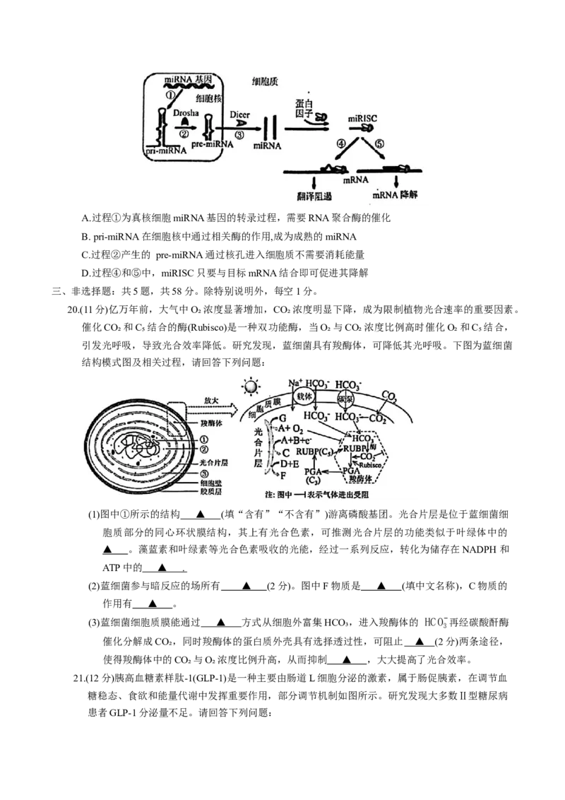 江苏省南京市2026届高三年级9月学情调研生物学试卷（有答案）_2025年9月_250919江苏省南京市2026届高三上学期9月零模学情调研（全科）