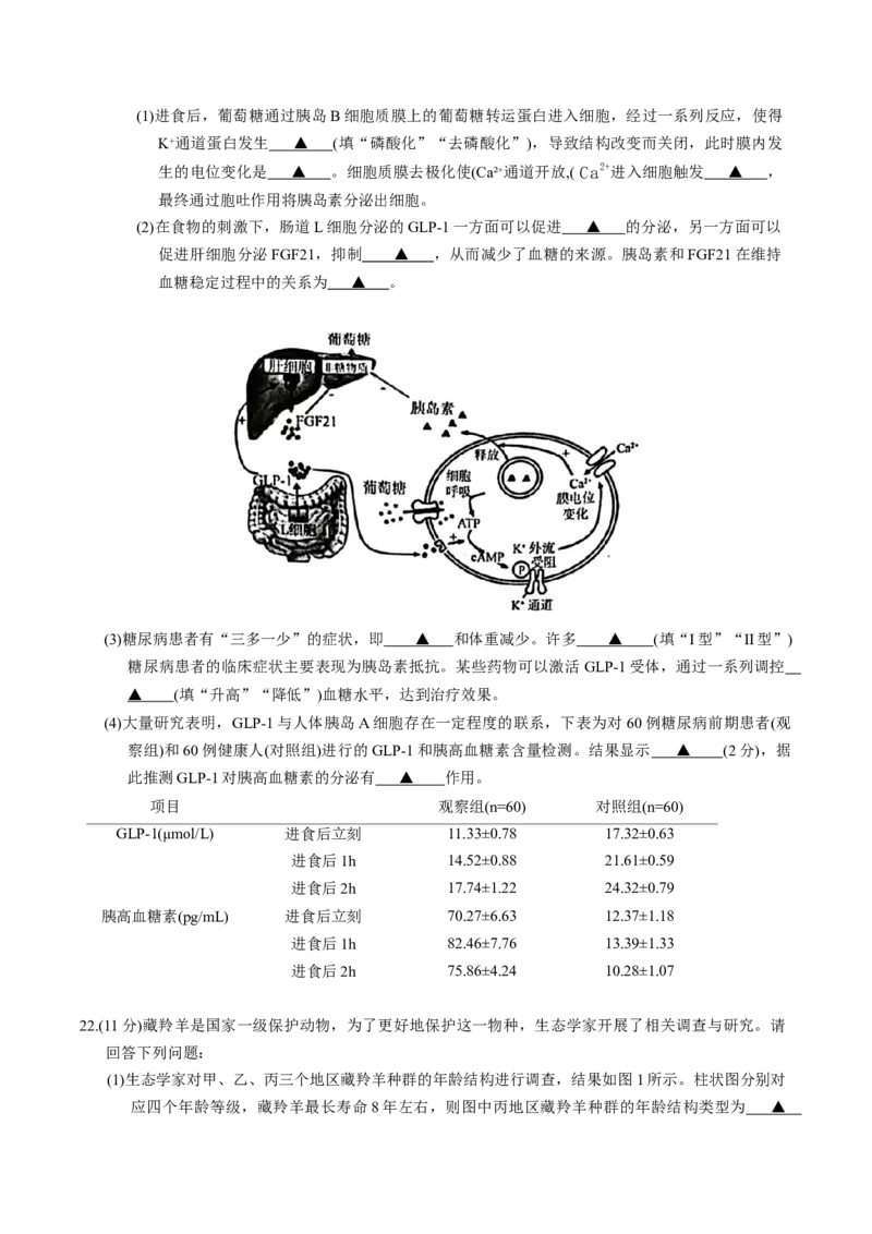 江苏省南京市2026届高三年级9月学情调研生物学试卷（有答案）_2025年9月_250919江苏省南京市2026届高三上学期9月零模学情调研（全科）