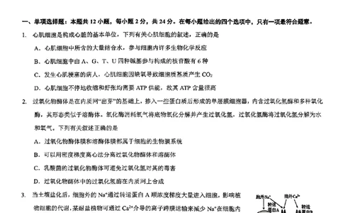 生物试卷_2025年1月_250119江西省赣州市2024-2025学年度第一学期高三期末考试（全科）_江西省赣州市2024-2025学年高三上学期1月期末考试生物