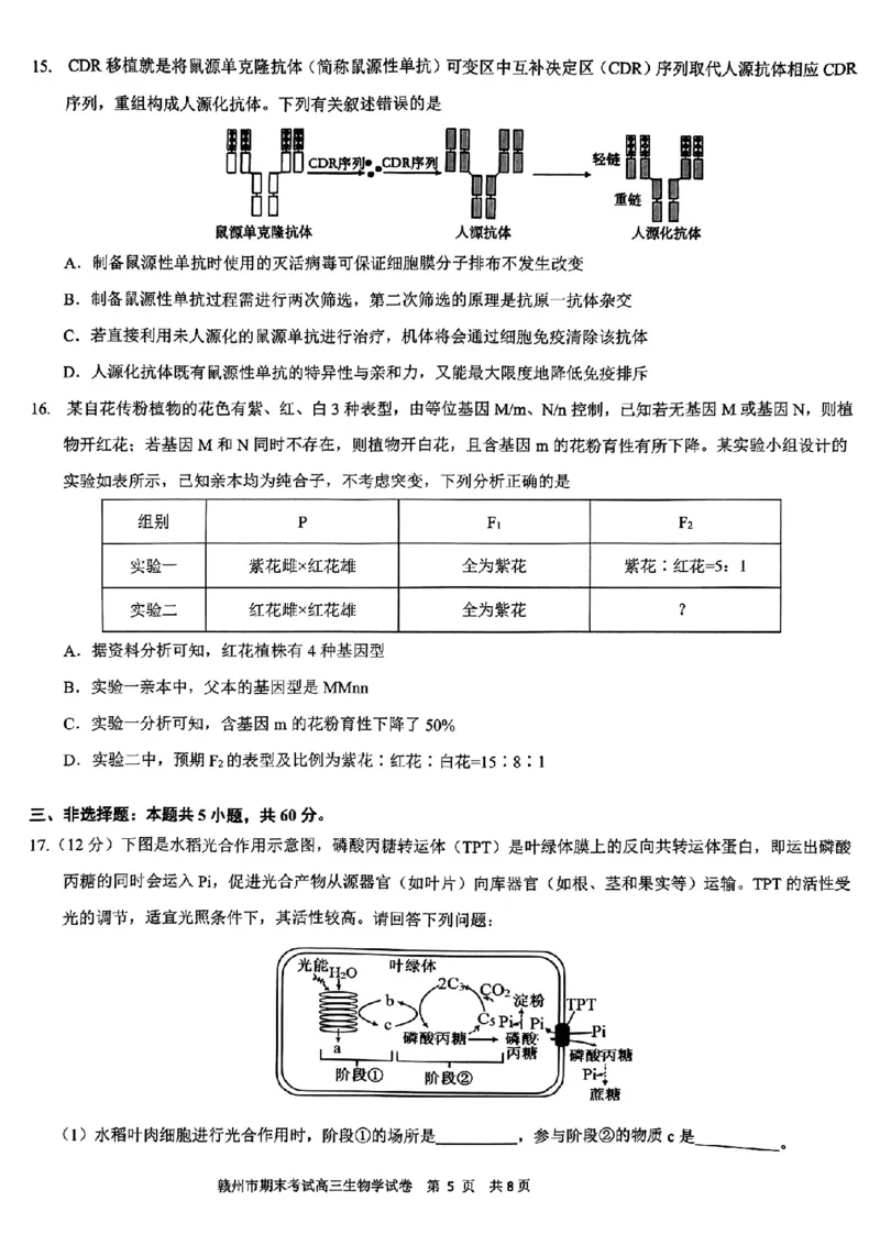生物试卷_2025年1月_250119江西省赣州市2024-2025学年度第一学期高三期末考试（全科）_江西省赣州市2024-2025学年高三上学期1月期末考试生物