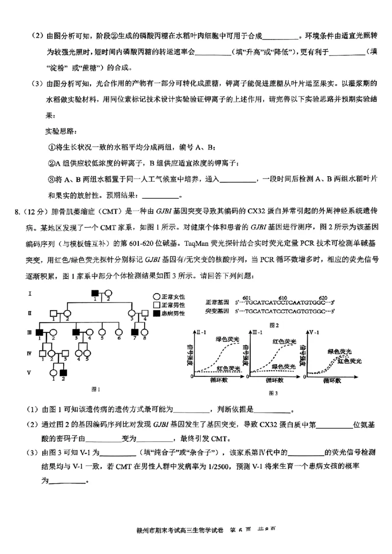 生物试卷_2025年1月_250119江西省赣州市2024-2025学年度第一学期高三期末考试（全科）_江西省赣州市2024-2025学年高三上学期1月期末考试生物
