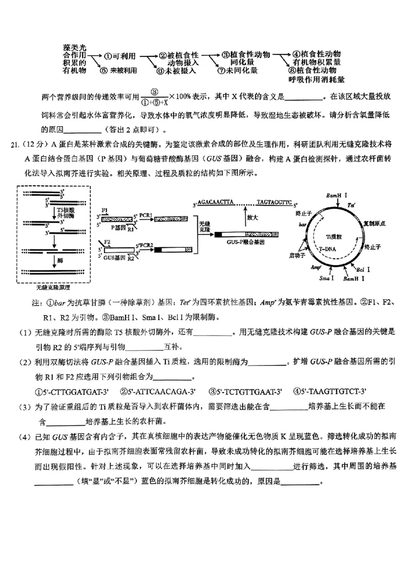 生物试卷_2025年1月_250119江西省赣州市2024-2025学年度第一学期高三期末考试（全科）_江西省赣州市2024-2025学年高三上学期1月期末考试生物