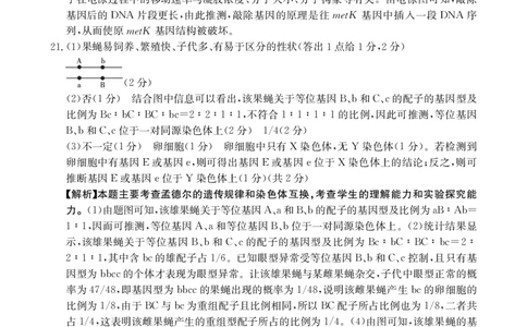 江西省高三金太阳5月三新协同教研共同体考试（25-490C）生物答案_2025年5月_250510江西省高三金太阳5月三新协同教研共同体考试（25-490C）（全科）