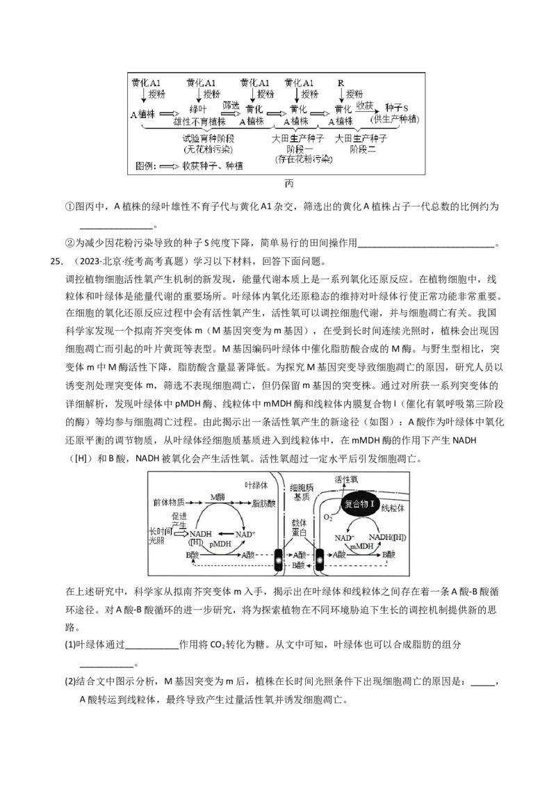 专题09变异、育种与进化（学生卷）_近10年高考真题汇编（必刷）_十年（2014-2024）高考生物真题分项汇编（全国通用）_2023年高考真题和模拟题生物分项汇编（全国通用）