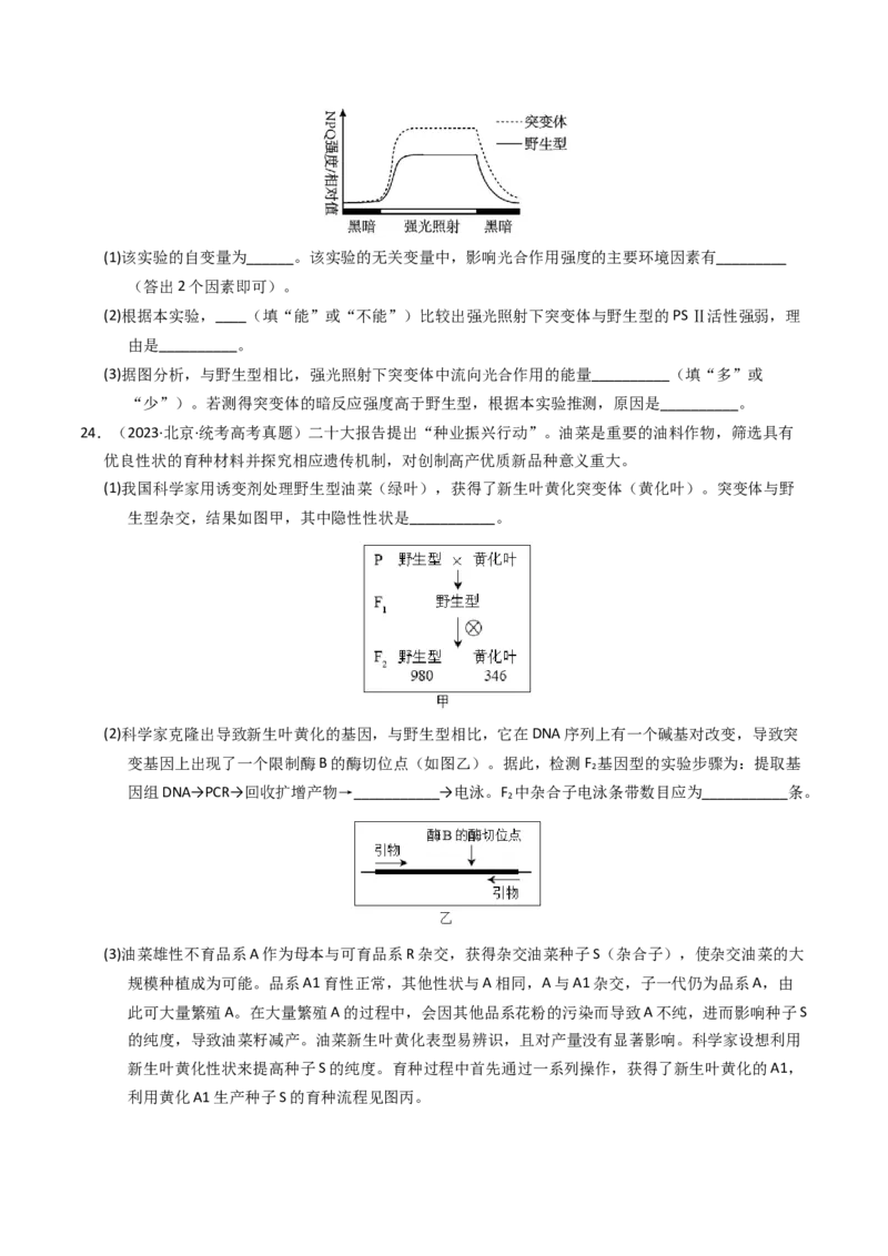 专题09变异、育种与进化（学生卷）_近10年高考真题汇编（必刷）_十年（2014-2024）高考生物真题分项汇编（全国通用）_2023年高考真题和模拟题生物分项汇编（全国通用）