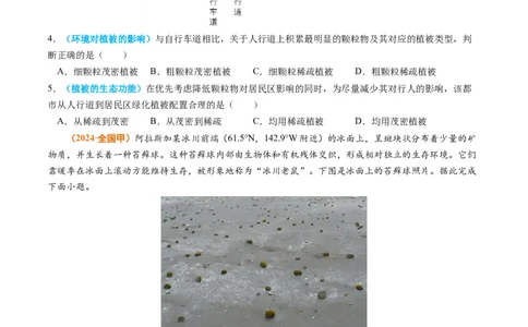 专题06自然环境的整体性与差异性-2024年高考真题和模拟题地理分类汇编（学生卷）_近10年高考真题汇编（必刷）_十年（2014-2024）高考地理真题分项汇编（全国通用）