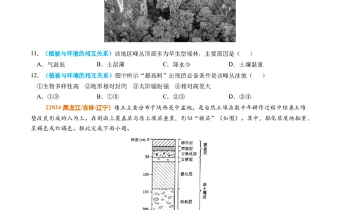 专题06自然环境的整体性与差异性-2024年高考真题和模拟题地理分类汇编（学生卷）_近10年高考真题汇编（必刷）_十年（2014-2024）高考地理真题分项汇编（全国通用）