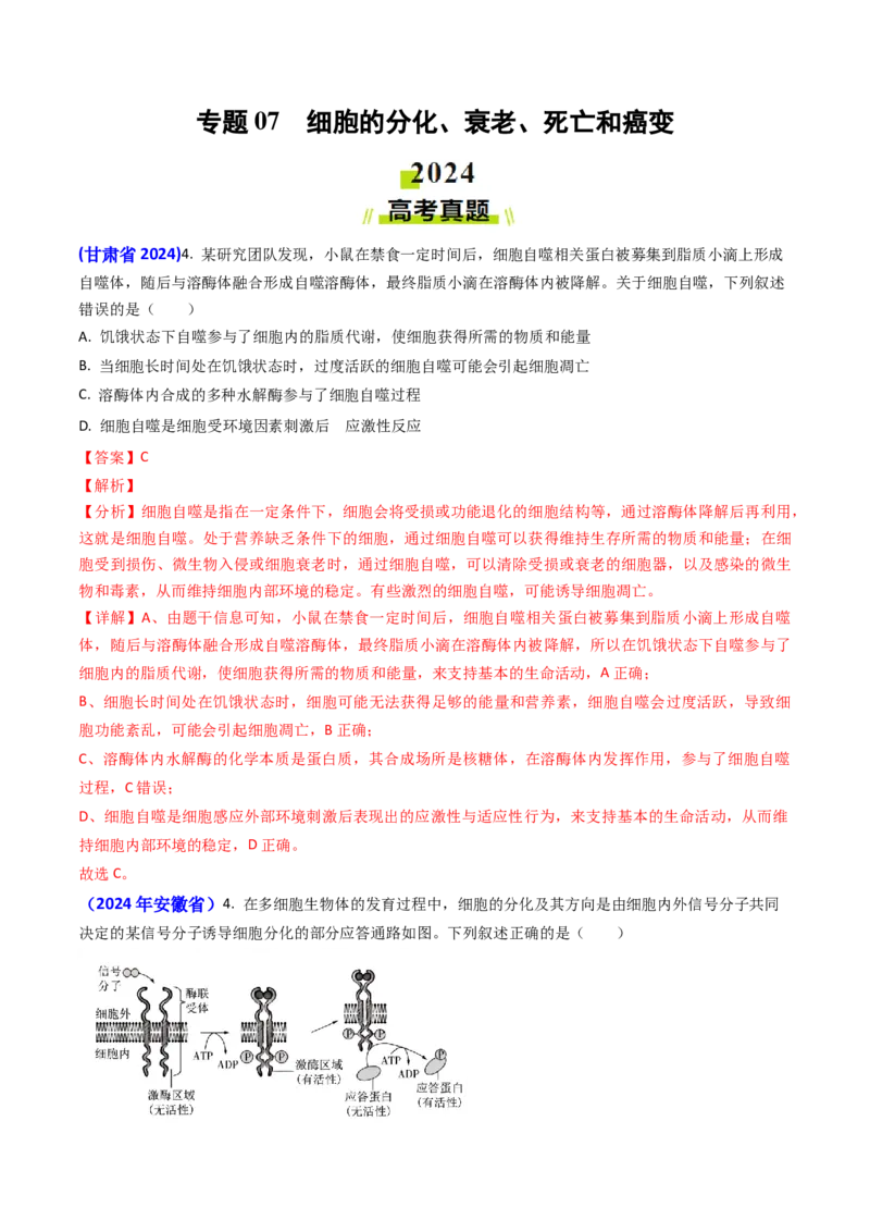 专题07细胞的分化、衰老、死亡和癌变-2024年高考真题和模拟题生物分类汇编（教师卷）_近10年高考真题汇编（必刷）_十年（2014-2024）高考生物真题分项汇编（全国通用）