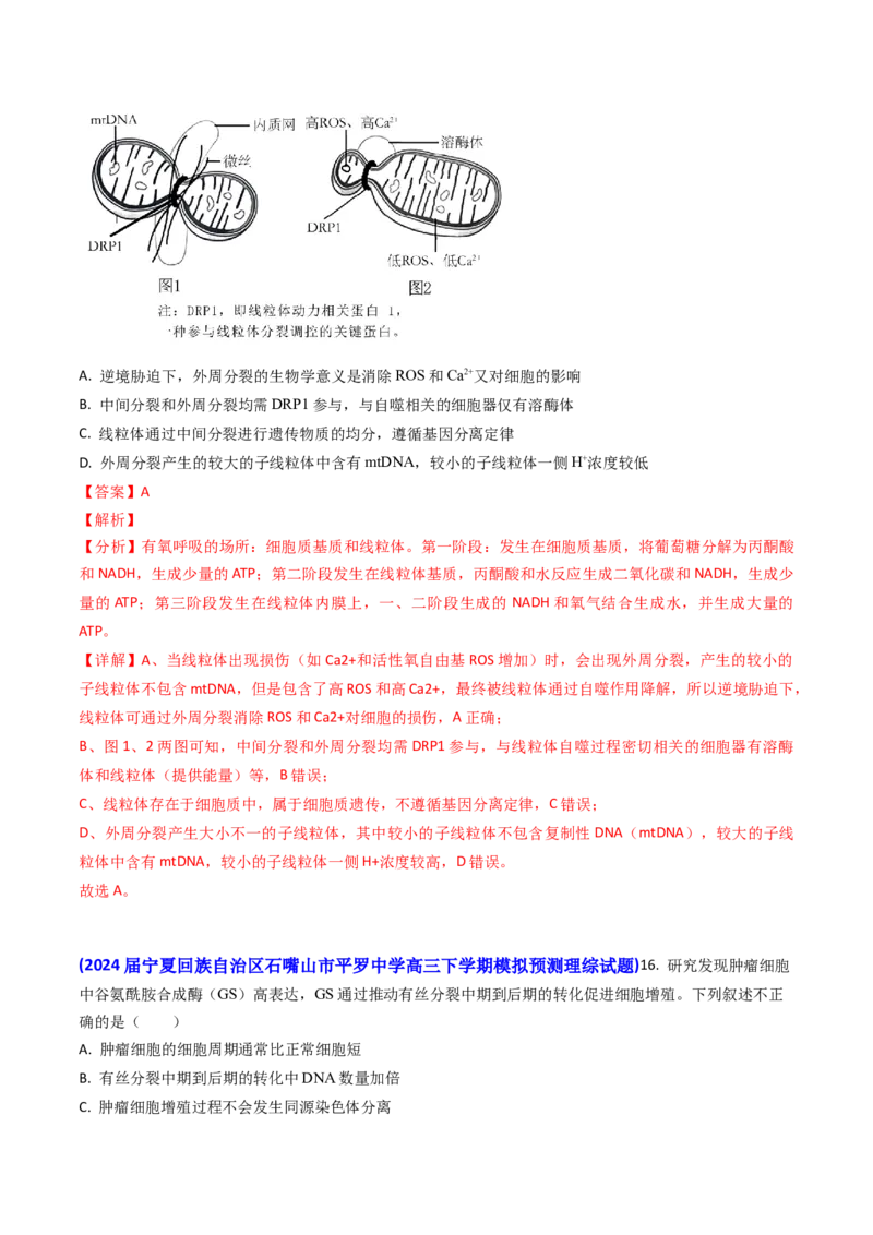 专题07细胞的分化、衰老、死亡和癌变-2024年高考真题和模拟题生物分类汇编（教师卷）_近10年高考真题汇编（必刷）_十年（2014-2024）高考生物真题分项汇编（全国通用）