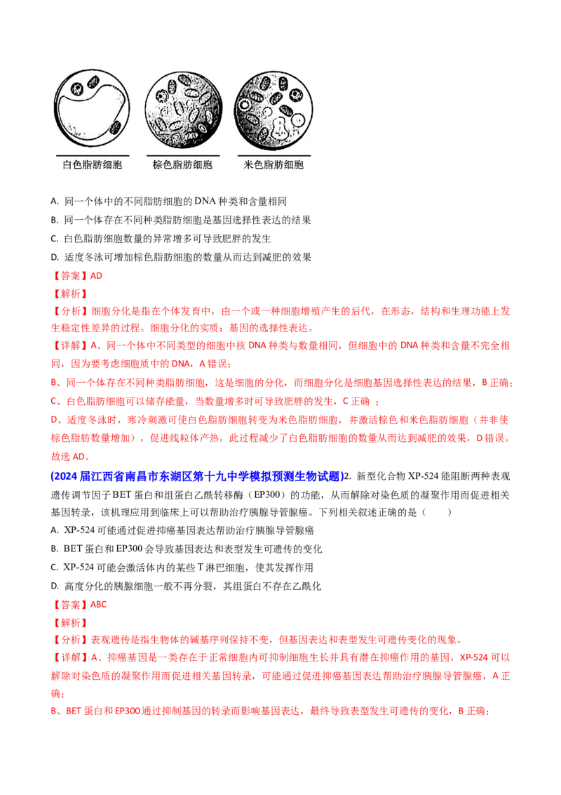 专题07细胞的分化、衰老、死亡和癌变-2024年高考真题和模拟题生物分类汇编（教师卷）_近10年高考真题汇编（必刷）_十年（2014-2024）高考生物真题分项汇编（全国通用）