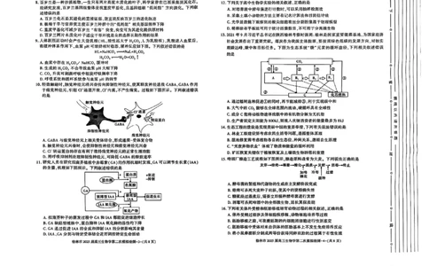 陕西省榆林市2025届高三上学期第二次模拟检测生物试题（含答案）_2025年1月_250117陕西省榆林市2025届高三上学期第二次模拟检测（全科）
