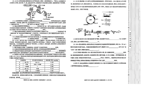 陕西省榆林市2025届高三上学期第二次模拟检测生物试题（含答案）_2025年1月_250117陕西省榆林市2025届高三上学期第二次模拟检测（全科）