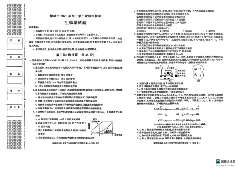 陕西省榆林市2025届高三上学期第二次模拟检测生物试题（含答案）_2025年1月_250117陕西省榆林市2025届高三上学期第二次模拟检测（全科）