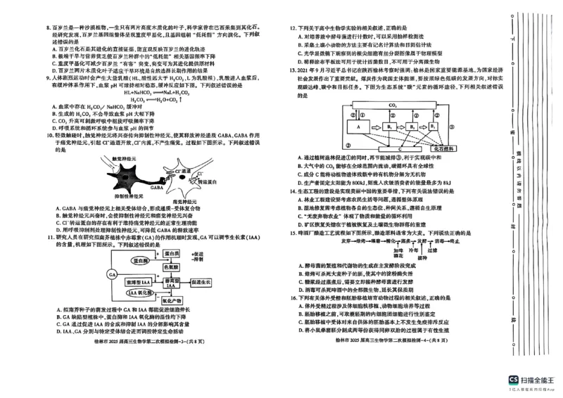 陕西省榆林市2025届高三上学期第二次模拟检测生物试题（含答案）_2025年1月_250117陕西省榆林市2025届高三上学期第二次模拟检测（全科）
