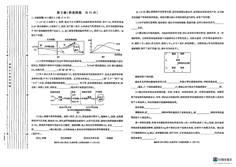 陕西省榆林市2025届高三上学期第二次模拟检测生物试题（含答案）_2025年1月_250117陕西省榆林市2025届高三上学期第二次模拟检测（全科）
