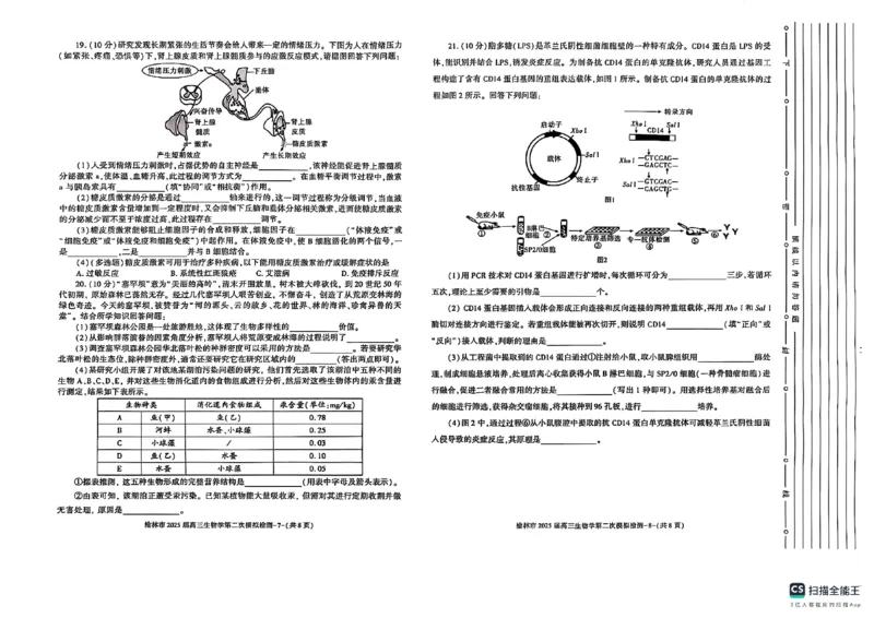 陕西省榆林市2025届高三上学期第二次模拟检测生物试题（含答案）_2025年1月_250117陕西省榆林市2025届高三上学期第二次模拟检测（全科）