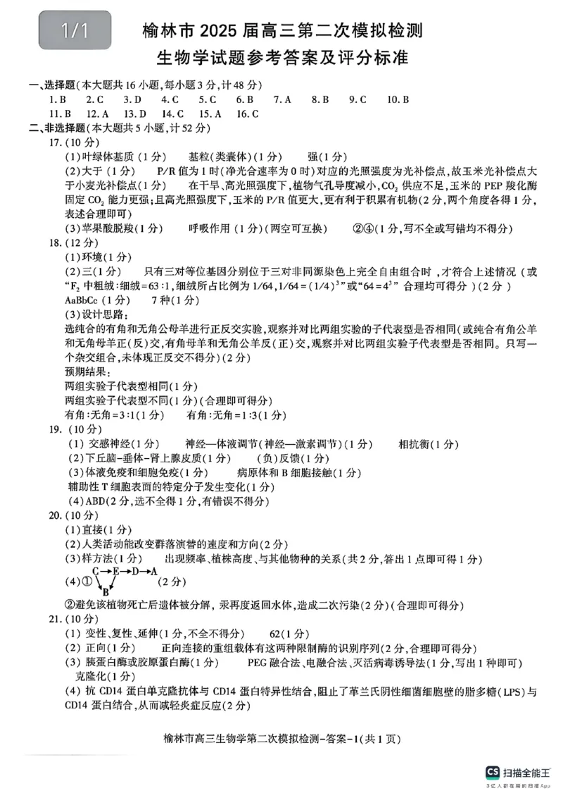 陕西省榆林市2025届高三上学期第二次模拟检测生物试题（含答案）_2025年1月_250117陕西省榆林市2025届高三上学期第二次模拟检测（全科）