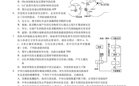 广东省广州市2025届高三下学期考前冲刺训练（一）生物试卷（有答案）_2025年5月_2505172025届广州市普通高中毕业班冲刺题（一）（二）（三）