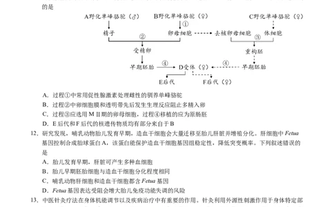 广东省广州市2025届高三下学期考前冲刺训练（一）生物试卷（有答案）_2025年5月_2505172025届广州市普通高中毕业班冲刺题（一）（二）（三）