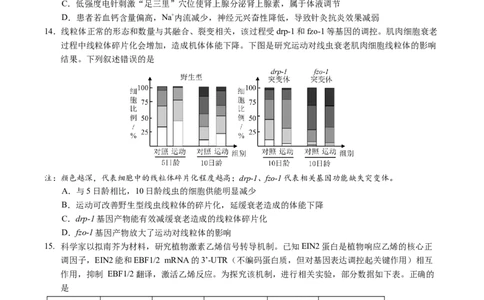 广东省广州市2025届高三下学期考前冲刺训练（一）生物试卷（有答案）_2025年5月_2505172025届广州市普通高中毕业班冲刺题（一）（二）（三）