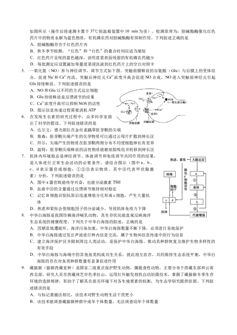广东省广州市2025届高三下学期考前冲刺训练（一）生物试卷（有答案）_2025年5月_2505172025届广州市普通高中毕业班冲刺题（一）（二）（三）