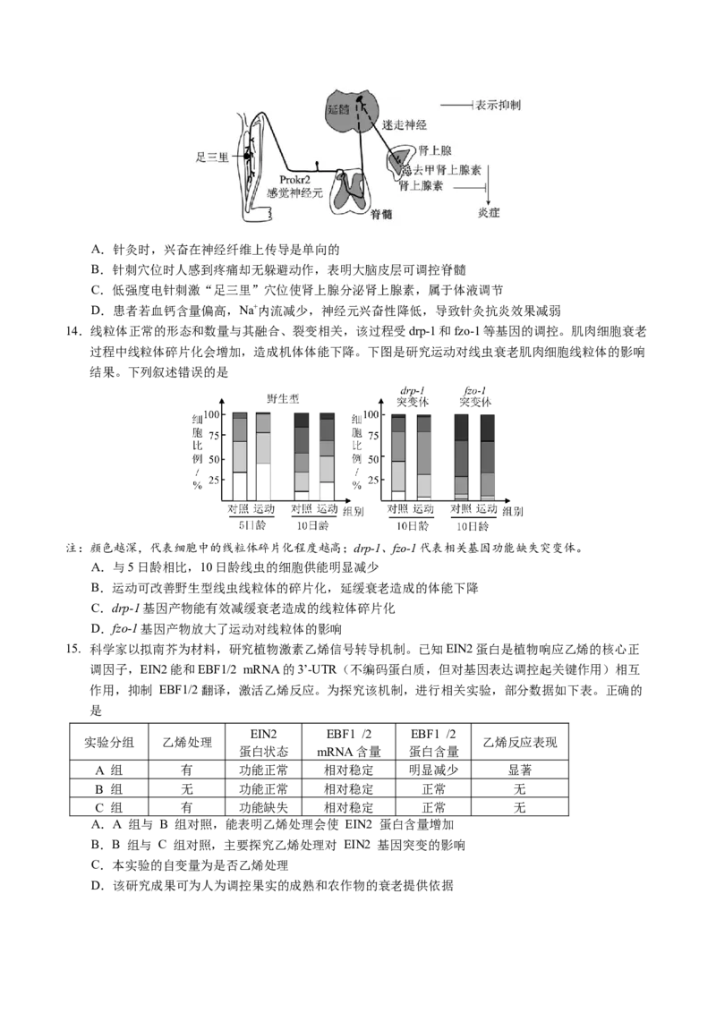 广东省广州市2025届高三下学期考前冲刺训练（一）生物试卷（有答案）_2025年5月_2505172025届广州市普通高中毕业班冲刺题（一）（二）（三）