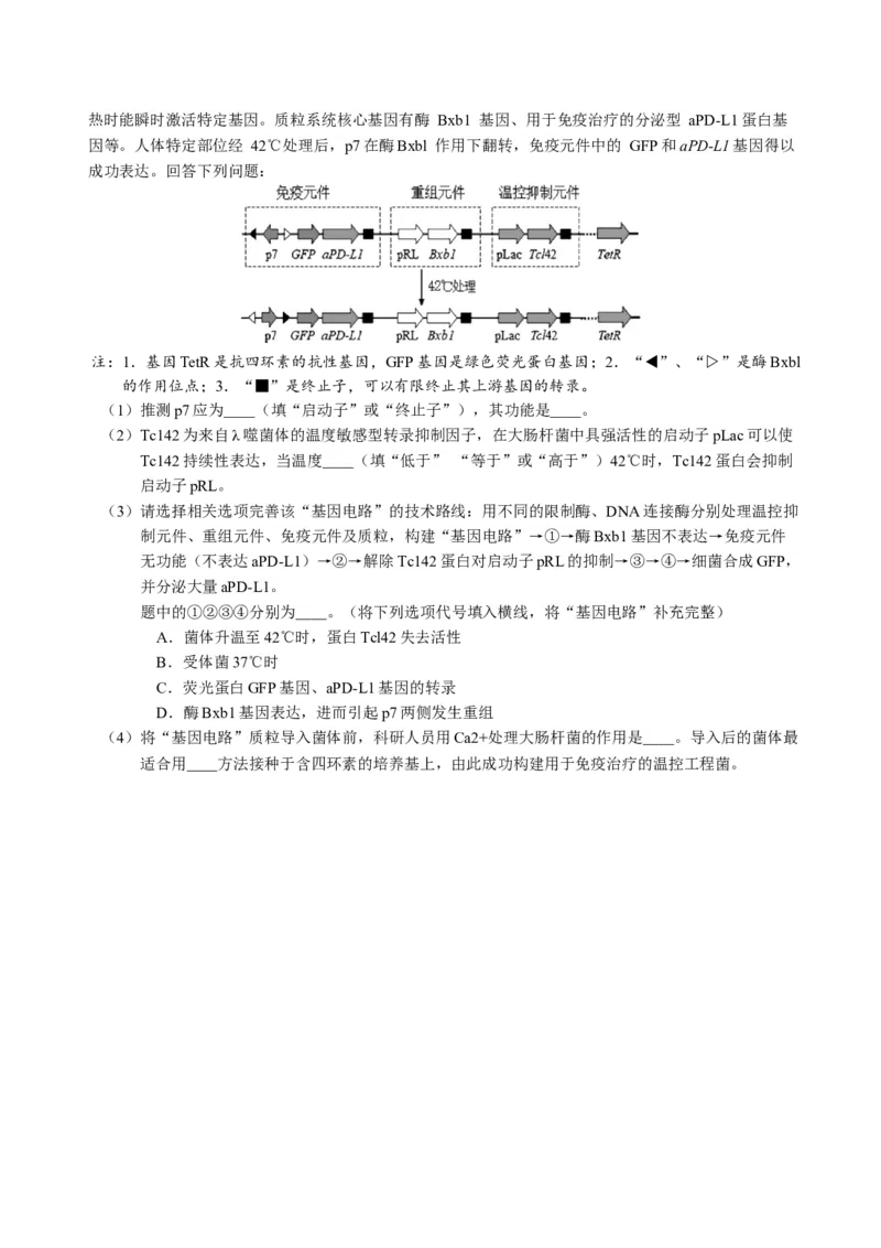广东省广州市2025届高三下学期考前冲刺训练（一）生物试卷（有答案）_2025年5月_2505172025届广州市普通高中毕业班冲刺题（一）（二）（三）
