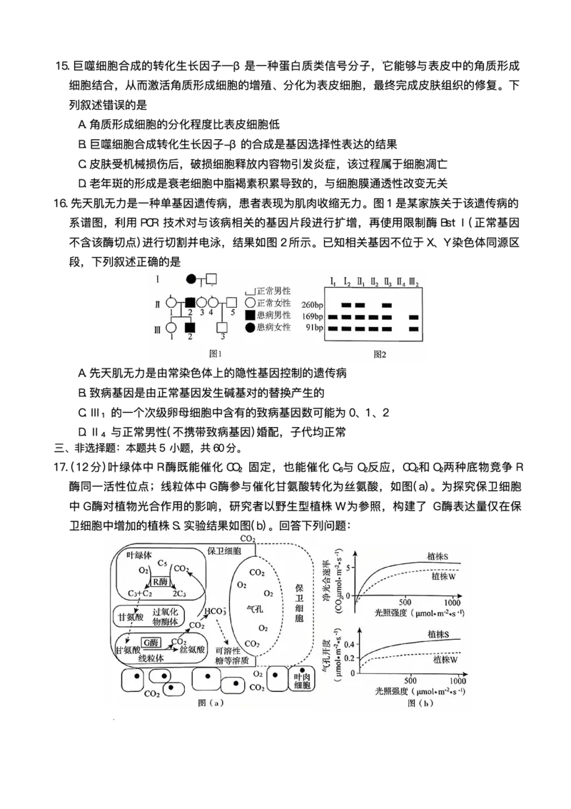 湖南天壹名校联盟2025年下学期高三9月联考+生物_2025年9月_250928湖南天壹名校联盟2025年下学期高三9月联考（全科）_生物
