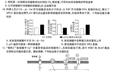 南开中学高2026届高三第二次质量检测+生物_2025年10月_251013重庆市南开中学2026届高三上学期第二次质量检测（全科）