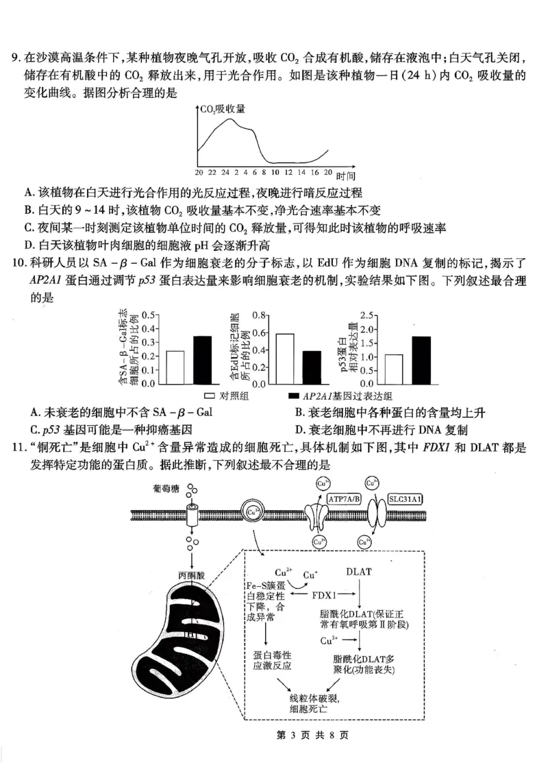 南开中学高2026届高三第二次质量检测+生物_2025年10月_251013重庆市南开中学2026届高三上学期第二次质量检测（全科）