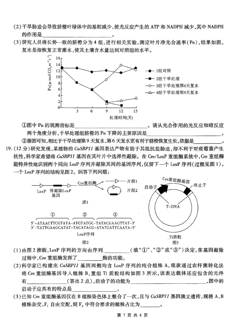 南开中学高2026届高三第二次质量检测+生物_2025年10月_251013重庆市南开中学2026届高三上学期第二次质量检测（全科）