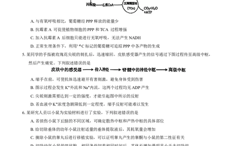 安徽省池州市普通高中2025届高三下学期教学质量统一监测（二模）生物学试题（有答案）_2025年3月_250331安徽省池州市普通高中2025届高三下学期教学质量统一监测（全科）