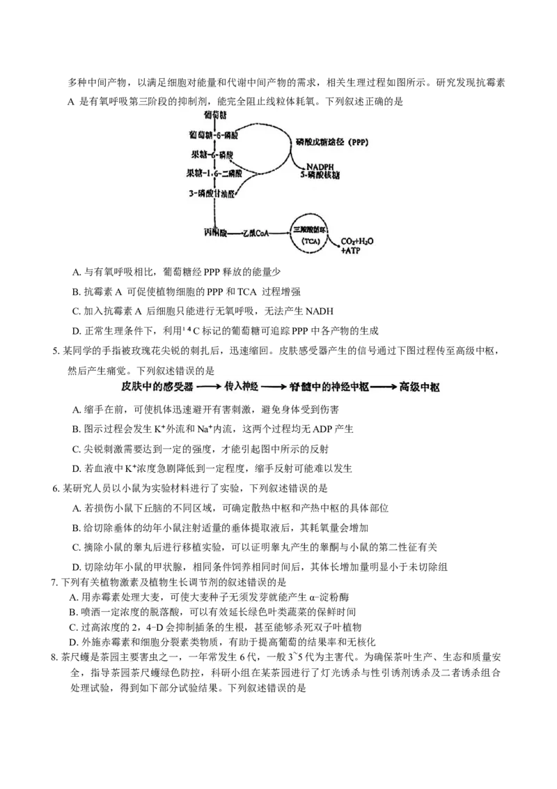 安徽省池州市普通高中2025届高三下学期教学质量统一监测（二模）生物学试题（有答案）_2025年3月_250331安徽省池州市普通高中2025届高三下学期教学质量统一监测（全科）