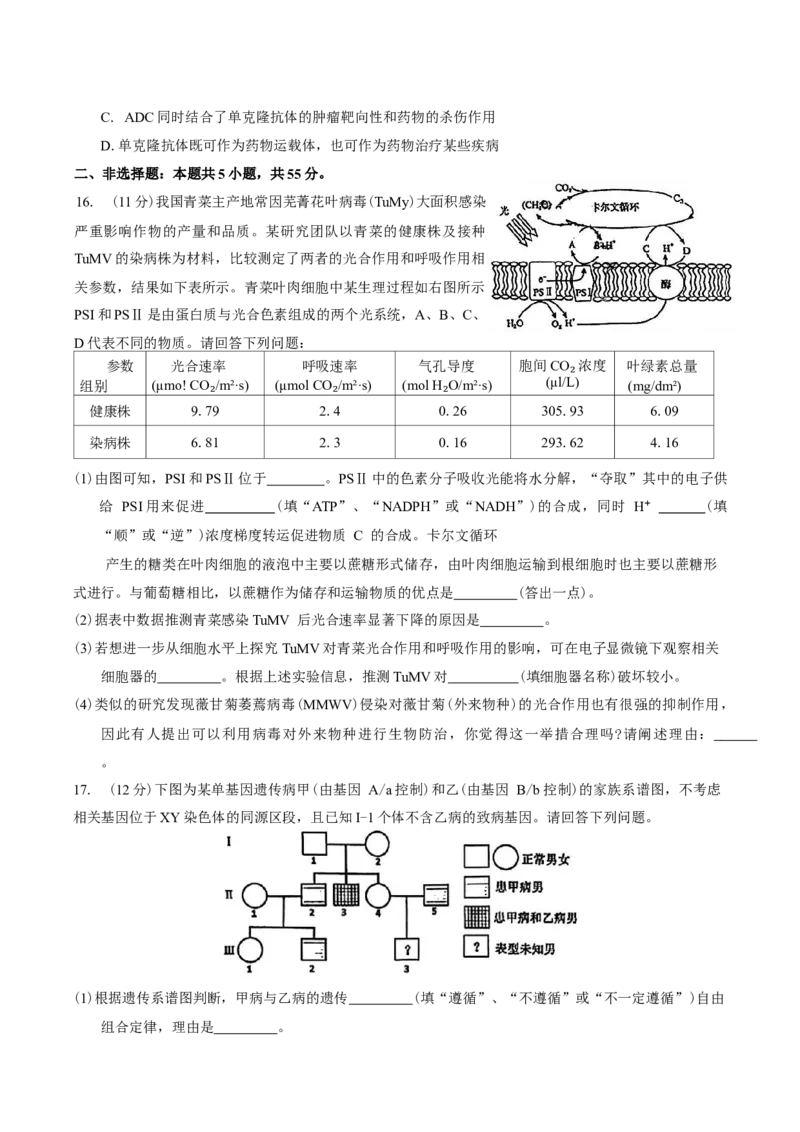 安徽省池州市普通高中2025届高三下学期教学质量统一监测（二模）生物学试题（有答案）_2025年3月_250331安徽省池州市普通高中2025届高三下学期教学质量统一监测（全科）