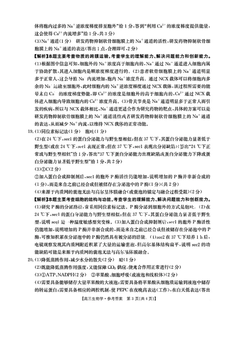 生物答案_2025年10月_251002陕青宁晋金太阳2025-2026学年高三上学期9月联考_陕青宁晋金太阳2025-2026学年高三上学期9月开学联考生物试卷（含答案）