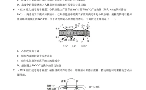 专题02物质进出细胞、酶和ATP（学生卷）_近10年高考真题汇编（必刷）_十年（2014-2024）高考生物真题分项汇编（全国通用）_2023年高考真题和模拟题生物分项汇编（全国通用）