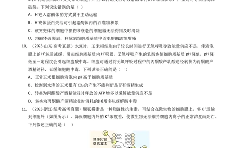 专题02物质进出细胞、酶和ATP（学生卷）_近10年高考真题汇编（必刷）_十年（2014-2024）高考生物真题分项汇编（全国通用）_2023年高考真题和模拟题生物分项汇编（全国通用）