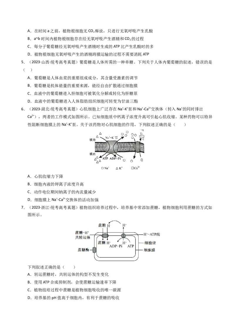 专题02物质进出细胞、酶和ATP（学生卷）_近10年高考真题汇编（必刷）_十年（2014-2024）高考生物真题分项汇编（全国通用）_2023年高考真题和模拟题生物分项汇编（全国通用）