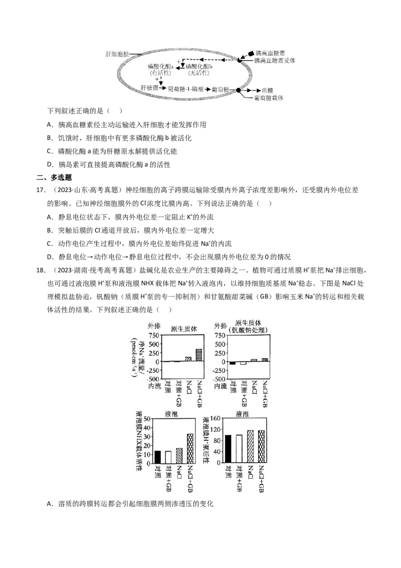 专题02物质进出细胞、酶和ATP（学生卷）_近10年高考真题汇编（必刷）_十年（2014-2024）高考生物真题分项汇编（全国通用）_2023年高考真题和模拟题生物分项汇编（全国通用）