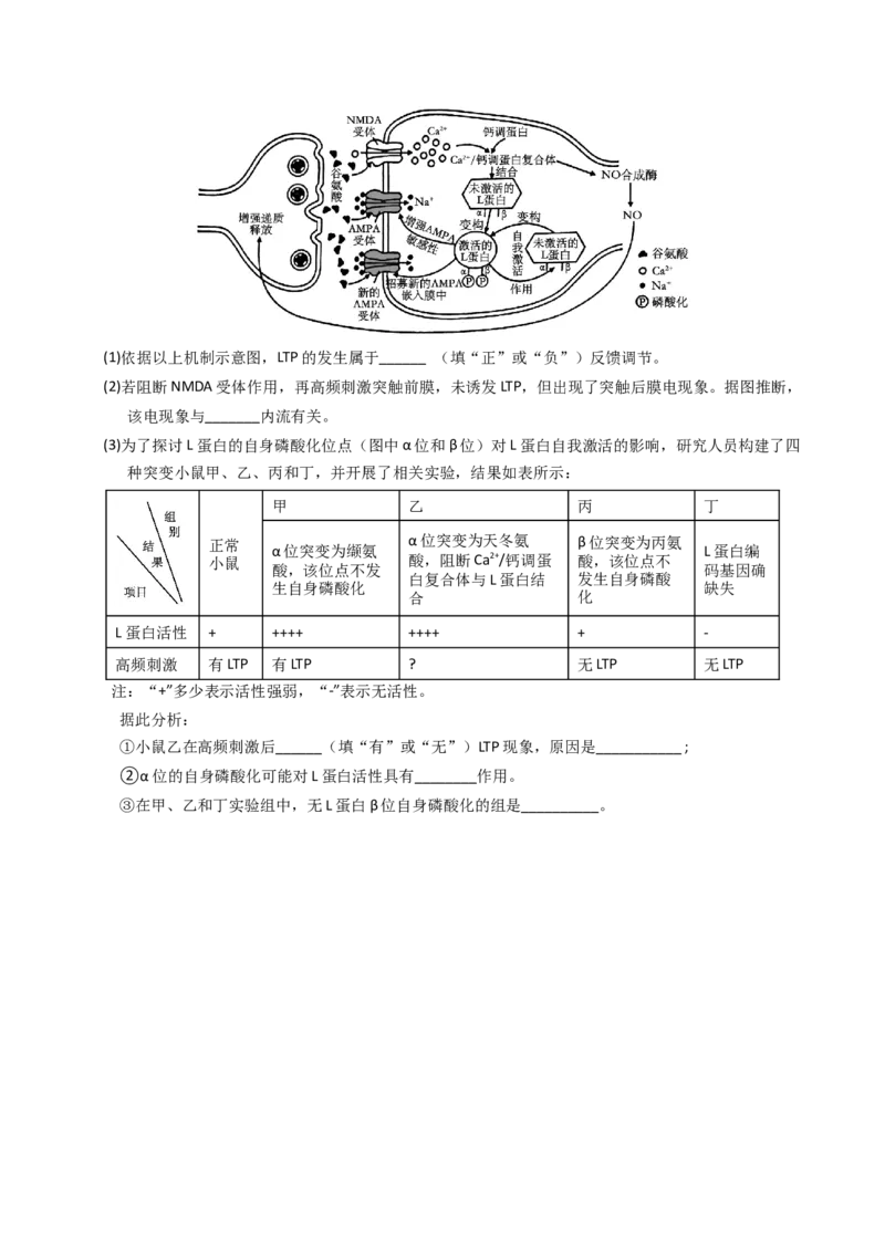 专题02物质进出细胞、酶和ATP（学生卷）_近10年高考真题汇编（必刷）_十年（2014-2024）高考生物真题分项汇编（全国通用）_2023年高考真题和模拟题生物分项汇编（全国通用）