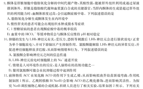 湖北省十堰市2025年高三年级元月调研考试生物_2025年1月_250110湖北省十堰市2025年高三年级元月调研考试（全科）_湖北省十堰市2025年高三年级元月调研考试生物