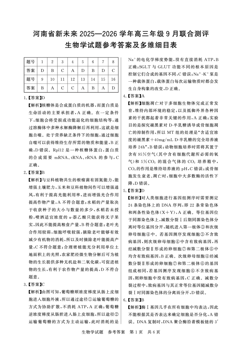 生物试题卷答案_2025年9月_250906河南省新未来2025-2026学年高三年级上学期9月份联合测评（全科）_河南省新未来2025-2026学年高三年级上学期9月份联合测评生物