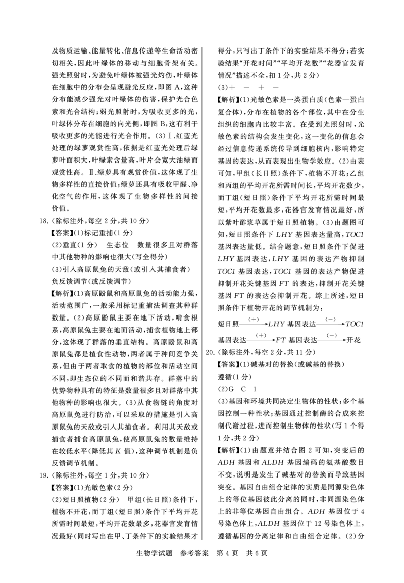 生物试题卷答案_2025年9月_250906河南省新未来2025-2026学年高三年级上学期9月份联合测评（全科）_河南省新未来2025-2026学年高三年级上学期9月份联合测评生物