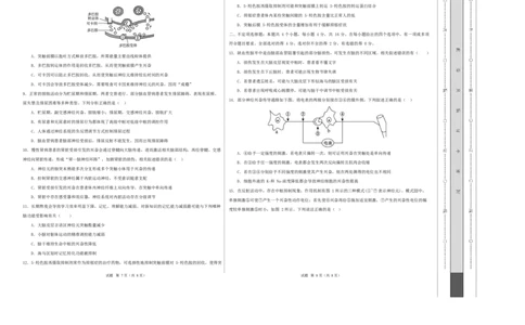 高二生物上学期第一次月考卷（湖南专用）高二生物第一次月考卷测试范围：选择性必修一1-2章（考试版A3）_1多考区联考试卷_2510142025-2026学年高二生物上学期第一次月考试题
