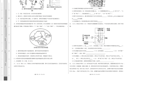 高二生物上学期第一次月考卷（湖南专用）高二生物第一次月考卷测试范围：选择性必修一1-2章（考试版A3）_1多考区联考试卷_2510142025-2026学年高二生物上学期第一次月考试题