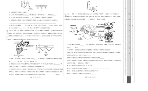 高二生物上学期第一次月考卷（湖南专用）高二生物第一次月考卷测试范围：选择性必修一1-2章（考试版A3）_1多考区联考试卷_2510142025-2026学年高二生物上学期第一次月考试题
